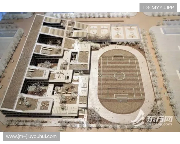 聚焦香港男子足球发展与本土联赛崛起趋势及未来蓝图展望全景解读